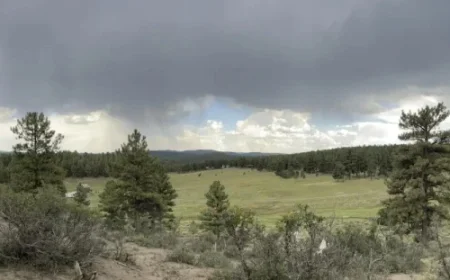 Friends Attempt Affordable Housing Project in Pagosa Springs: Realistic Vision or Dream?