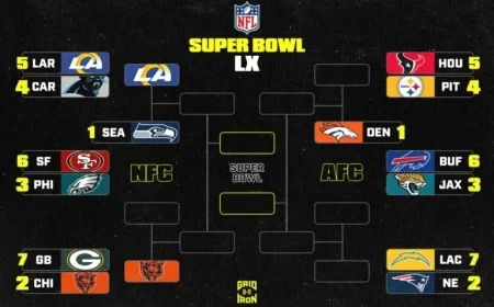 Updated 2026 NFL Playoff Bracket and Schedule Post-Wild Card Saturday