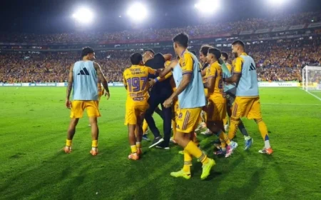 Tigres Seeks Argentine Midfielder for Clausura 2026 Signing
