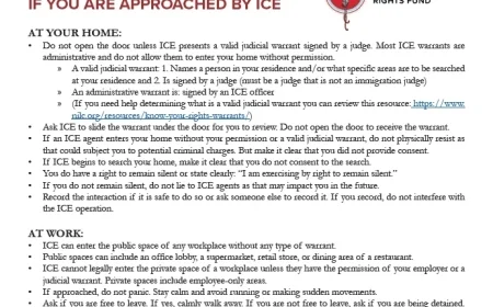 ICE Approaches: Key Resources for Individuals and Nonprofits