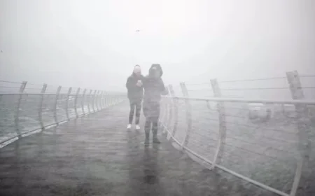 Flood Alert: Atmospheric River Strikes Vancouver Island and Fraser Valley, B.C.