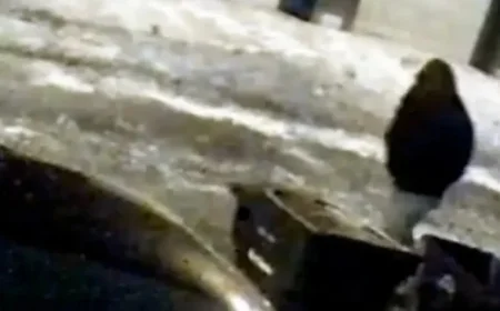 Ex-Husband Michael McKee Charged with Monique Tepe’s Death