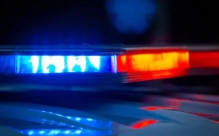 Nicola Peltz Deletes Beckham Posts from Her Social Media Accounts