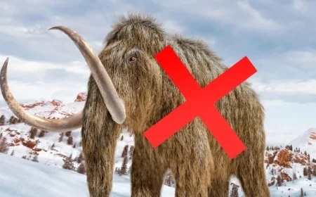 Museum’s ‘Mammoth’ Bones Revealed to Belong to Different Species After 70 Years