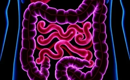 Tucatinib-Trastuzumab Proves Effective for HER2+ Metastatic Colorectal Cancer