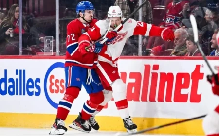 Red Wings Defeat Canadiens, Yet Arber Xhekaj Shines in Performance