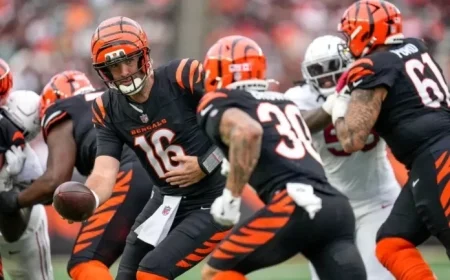 Week 12 Betting Odds and Tips: Joe Flacco Props in Bengals vs. Patriots