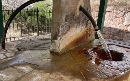 Scientists Eye Shower Drain Sludge for Next Big Discovery