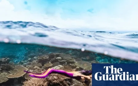 Merpeople Transformation: ‘Wearing the Tail Changed My Life Forever’