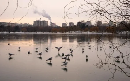 Icy Conditions Disrupt Travel in Central and Eastern Europe