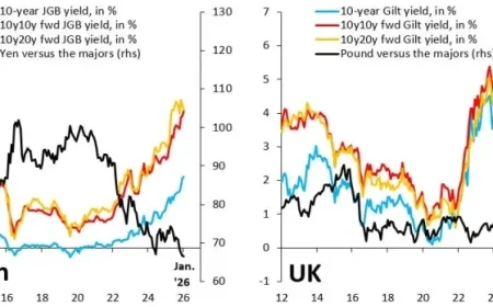 Understanding the Debt Crisis Dynamics in G10 Nations