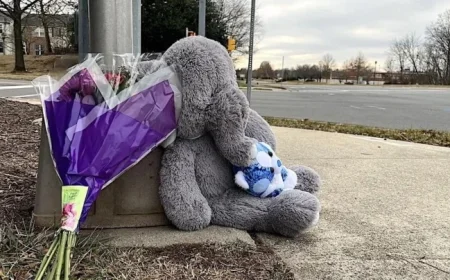 School Vehicle Kills Student Near Stone Bridge High School