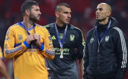 Nahuel a Aquino: “Melons Align Themselves in the Carts”