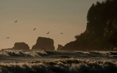 Former Oregon Mayor’s Skeleton Identified on Western Washington Beach