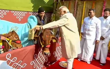PM Modi: Pongal, a Global Festival Celebrated by Tamils Worldwide
