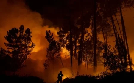 Global Warming Hits 1.4°C Following Third-Hottest Year on Record