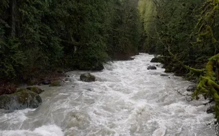 B.C. Flood Watches Lowered, Evacuation Alerts Lifted