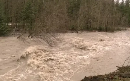 Evacuation Ordered as Atmospheric River Hits Fraser Valley, Vancouver Island