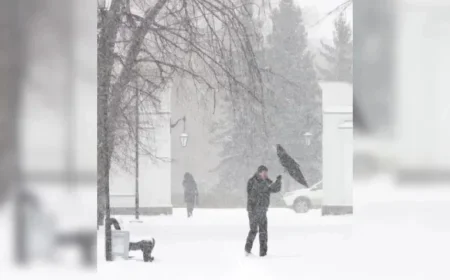 High Winds of 100 km/h Sweep Sask., Temperatures Normalize