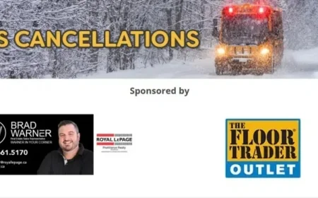 Bus Services Canceled: Latest Updates and Alternatives