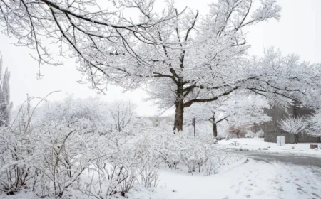 Heavy Snowfall Forces McMaster Closure on January 15