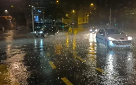 Halifax Area Braces for Up to 50mm of Rain: Environment Canada