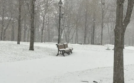 Montreal Faces Heavy Snow Amid Ongoing Winter Conditions