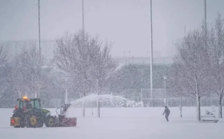 Up to 15 cm Snowstorm to Hit Southern Quebec