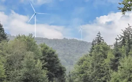 Major Industry Plans to Exit N.B. Power Grid