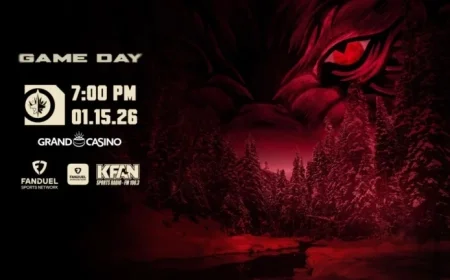 Wild vs. Jets: Game Preview and Key Insights