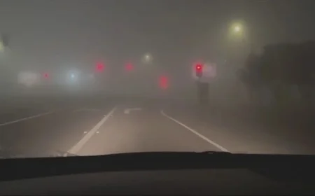 Fog Causes Delays for Over 20 School Districts