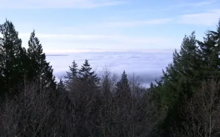 Man Dies at Cypress Mountain Resort, Confirm West Vancouver Police