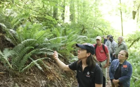 Oregon State Secures Third Carnegie Community Engagement Classification
