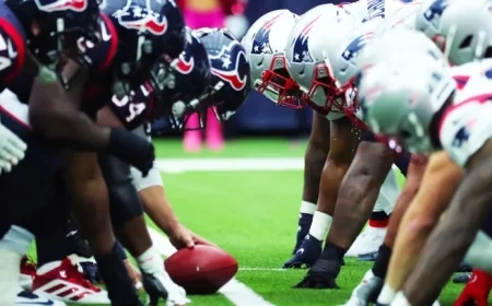 Texans vs. Patriots: Divisional Round Predictions