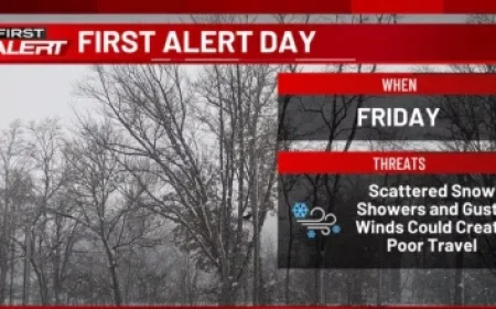 Joliet Lawyer Faces Charges for Allegedly Striking Child with Belt