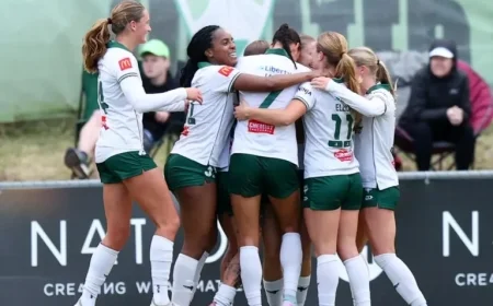 Ninja A-League Round 13: In-Depth Match Review