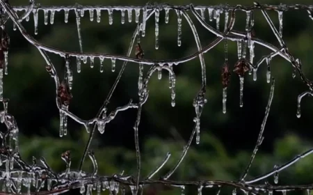 Winter Storm Sweeps Midwest, East Coast, Threatens Florida with Snow