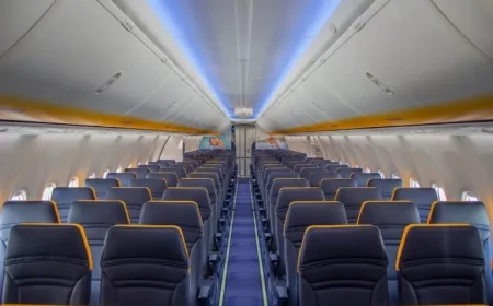 Elon Musk Plans Ryanair Takeover, Seeks CEO Michael O’Leary’s Dismissal