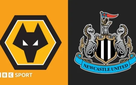 Wolverhampton Battles Newcastle United: Premier League Clash