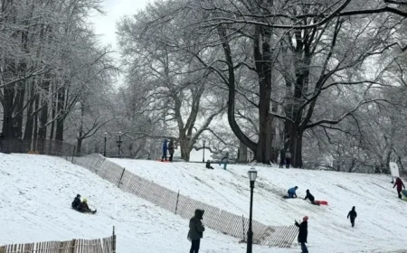 NYC to Experience Light Snow, Heavy Accumulation Expected Sunday