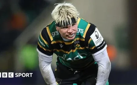 Champions Cup Live Updates: Northampton vs Scarlets Scores and Line-Ups