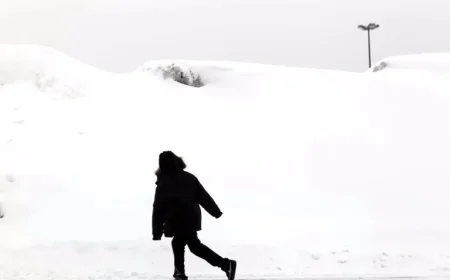 Massachusetts Snowfall: Top Towns and Cities with Saturday’s Heaviest Snowfall