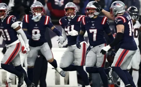 Patriots Defeat Texans: Final Score and Highlights from NFL Playoffs