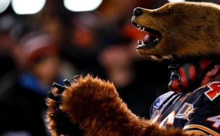 Embracing a Theory: Supporting the Chicago Bears with Renewed Passion