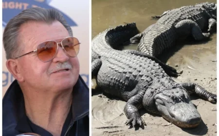 Ditka Believed Eating Alligator Fueled Bears’ Success