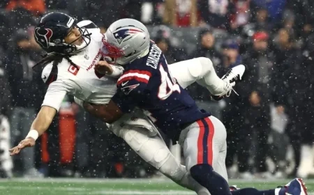 Patriots Triumph 28-16 Over Texans: NFL Divisional Round Analysis