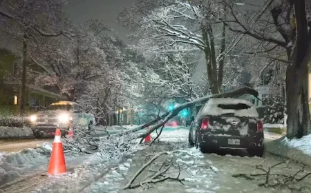 Winter Storm Strikes N.S., Leaving Thousands Without Power and Schools Closed