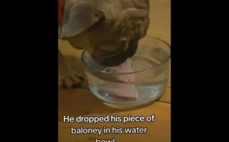 Daily Smile: Brighten Your Saturday, January 17, 2026