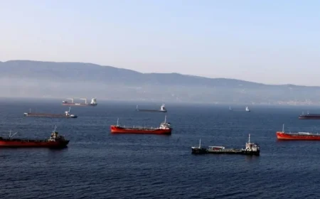 China Steps In Amid New Sanctions on Russian Oil Affecting India, Turkey