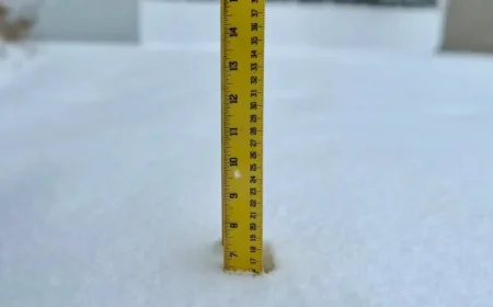 N.J. Weather: Snowfall Reaches 4-5 Inches, View Town-by-Town Totals